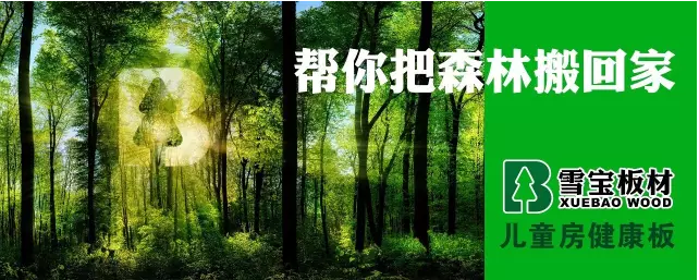 中國板材十大品牌